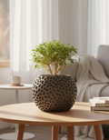 Pulp Planter
