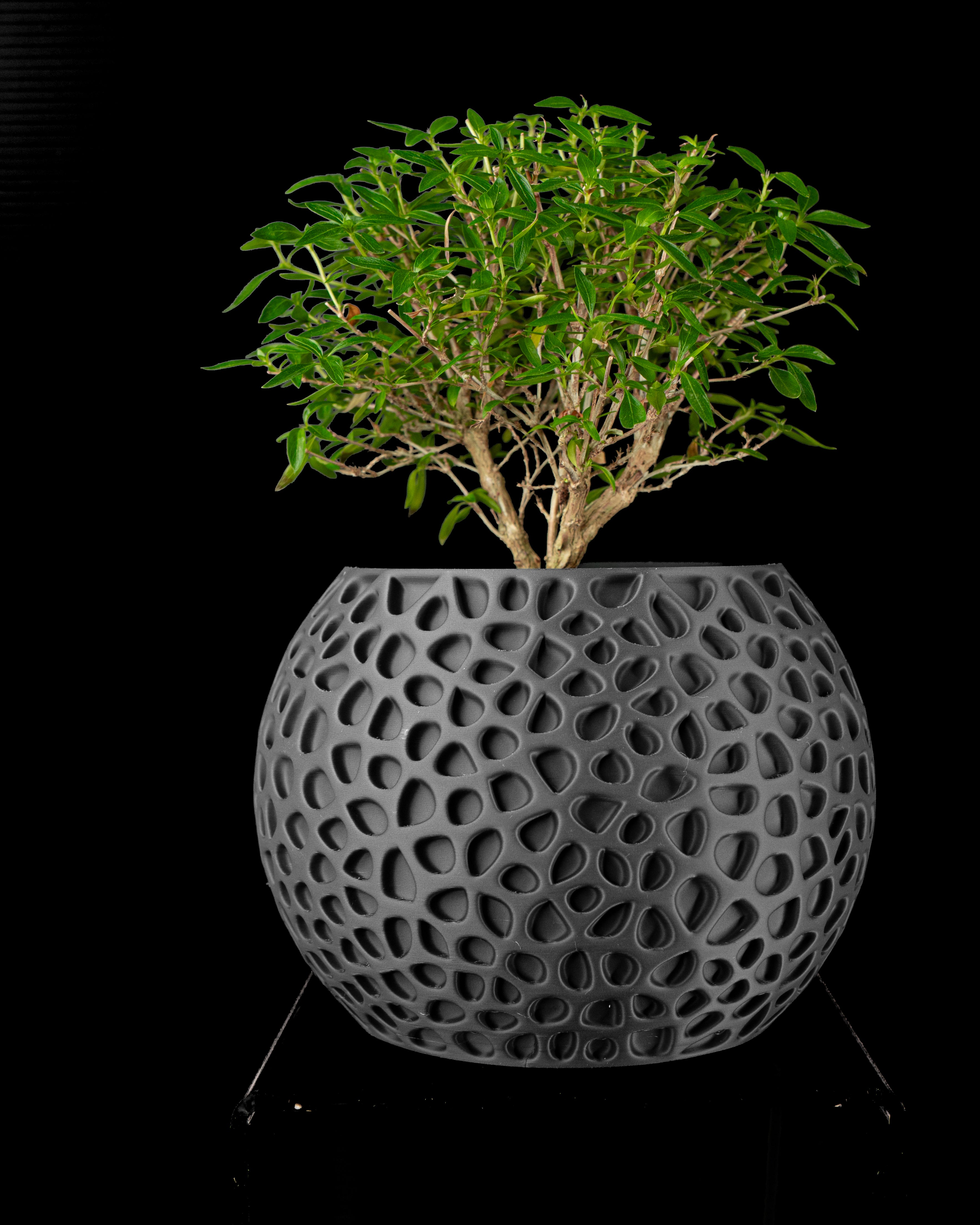 Pulp Planter